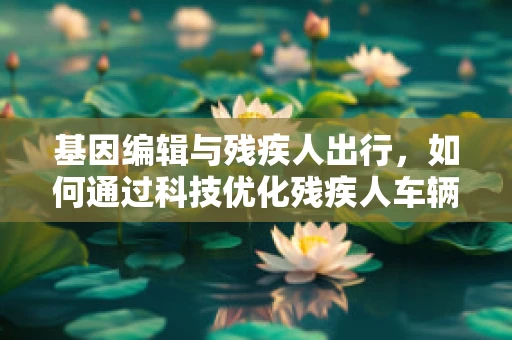 基因编辑与残疾人出行，如何通过科技优化残疾人车辆停车区设计？