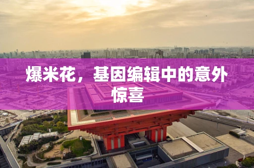爆米花，基因编辑中的意外惊喜