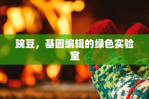 豌豆，基因编辑的绿色实验室
