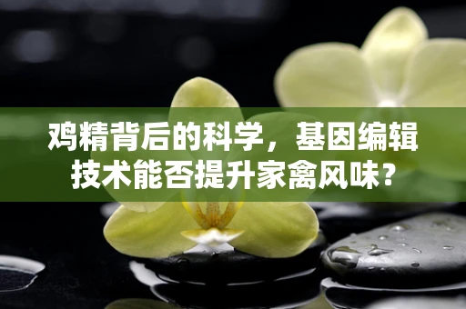 鸡精背后的科学，基因编辑技术能否提升家禽风味？