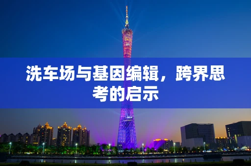 洗车场与基因编辑，跨界思考的启示