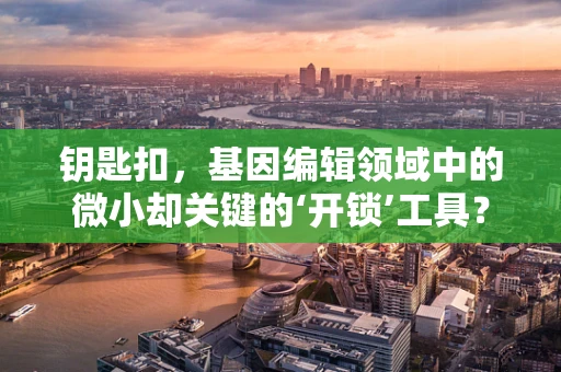 钥匙扣，基因编辑领域中的微小却关键的‘开锁’工具？