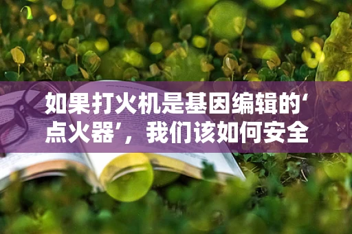 如果打火机是基因编辑的‘点火器’，我们该如何安全地‘点燃’未来？