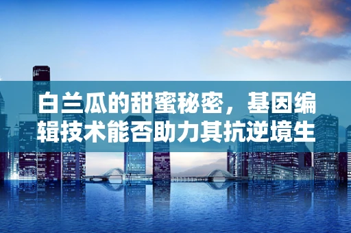 白兰瓜的甜蜜秘密，基因编辑技术能否助力其抗逆境生长？