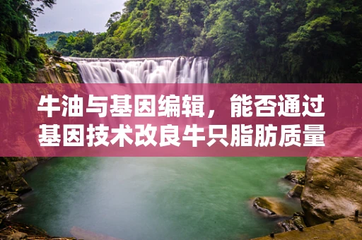 牛油与基因编辑，能否通过基因技术改良牛只脂肪质量？