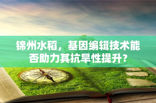 锦州水稻，基因编辑技术能否助力其抗旱性提升？