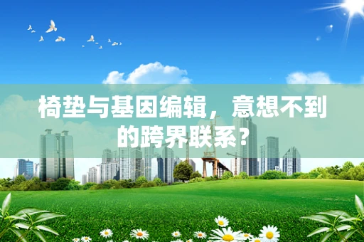 椅垫与基因编辑，意想不到的跨界联系？
