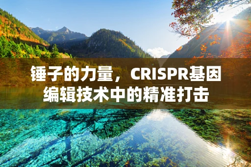 锤子的力量，CRISPR基因编辑技术中的精准打击