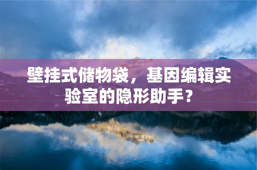 壁挂式储物袋，基因编辑实验室的隐形助手？