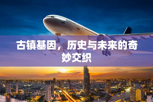 古镇基因，历史与未来的奇妙交织