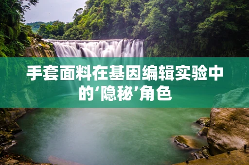 手套面料在基因编辑实验中的‘隐秘’角色