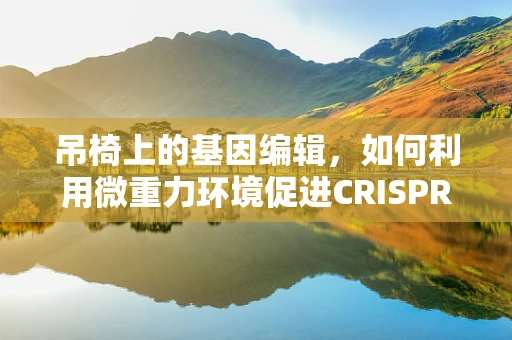 吊椅上的基因编辑，如何利用微重力环境促进CRISPR-Cas9的精准性？