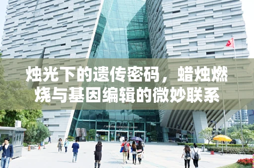 烛光下的遗传密码，蜡烛燃烧与基因编辑的微妙联系