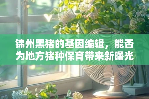 锦州黑猪的基因编辑，能否为地方猪种保育带来新曙光？