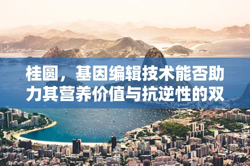 桂圆，基因编辑技术能否助力其营养价值与抗逆性的双重提升？