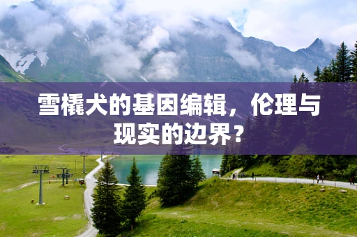 雪橇犬的基因编辑，伦理与现实的边界？