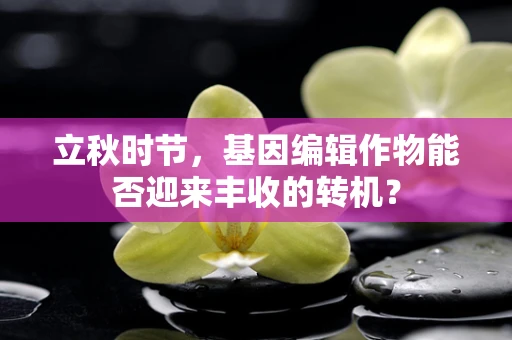 立秋时节，基因编辑作物能否迎来丰收的转机？