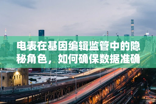 电表在基因编辑监管中的隐秘角色，如何确保数据准确反映基因编辑的伦理边界？