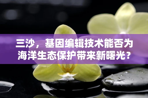 三沙，基因编辑技术能否为海洋生态保护带来新曙光？