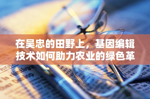 在吴忠的田野上，基因编辑技术如何助力农业的绿色革命？