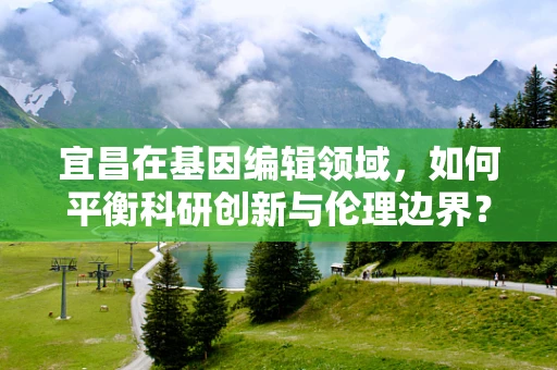 宜昌在基因编辑领域，如何平衡科研创新与伦理边界？