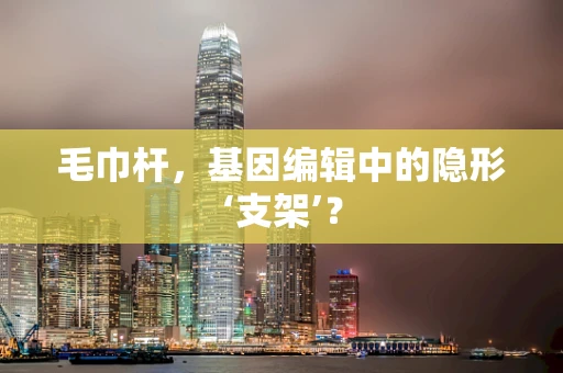 毛巾杆，基因编辑中的隐形‘支架’？