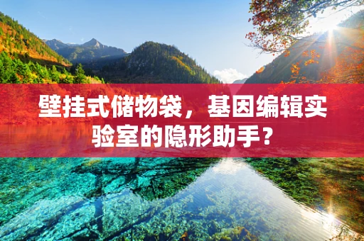 壁挂式储物袋，基因编辑实验室的隐形助手？