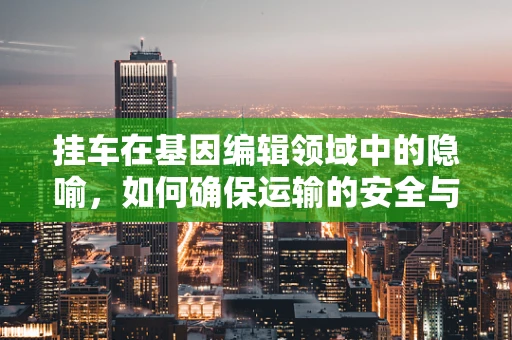 挂车在基因编辑领域中的隐喻，如何确保运输的安全与高效？