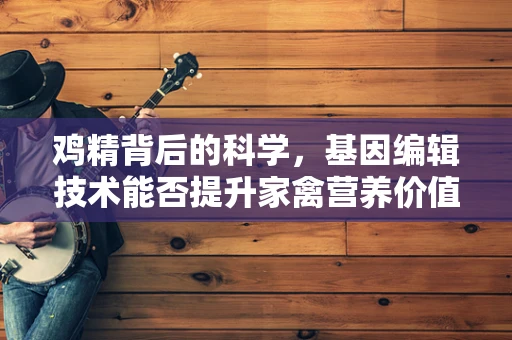 鸡精背后的科学，基因编辑技术能否提升家禽营养价值？