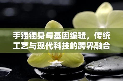 手镯镯身与基因编辑，传统工艺与现代科技的跨界融合？