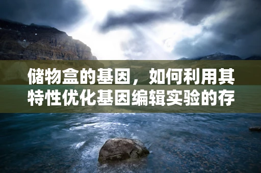 储物盒的基因，如何利用其特性优化基因编辑实验的存储条件？