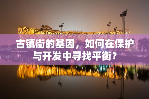 古镇街的基因，如何在保护与开发中寻找平衡？