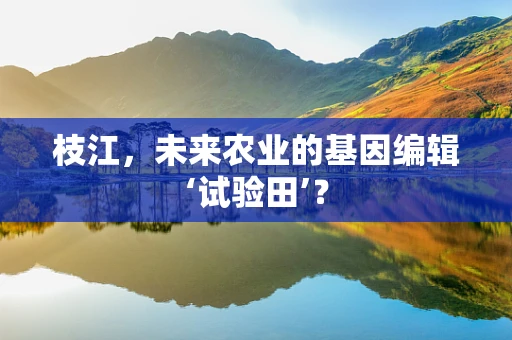 枝江，未来农业的基因编辑‘试验田’？