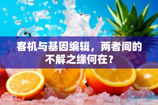 客机与基因编辑，两者间的不解之缘何在？
