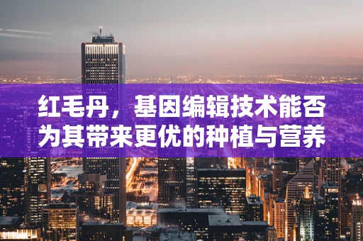 红毛丹，基因编辑技术能否为其带来更优的种植与营养价值？