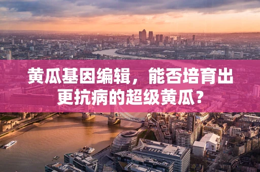 黄瓜基因编辑，能否培育出更抗病的超级黄瓜？