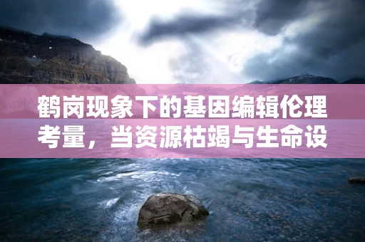 鹤岗现象下的基因编辑伦理考量，当资源枯竭与生命设计相遇