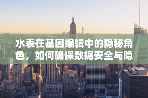 水表在基因编辑中的隐秘角色，如何确保数据安全与隐私？