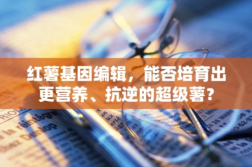 红薯基因编辑，能否培育出更营养、抗逆的超级薯？