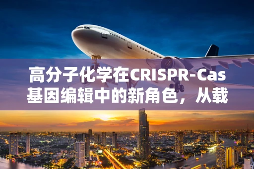 高分子化学在CRISPR-Cas基因编辑中的新角色，从载体设计到细胞穿透