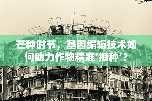 芒种时节，基因编辑技术如何助力作物精准‘播种’？