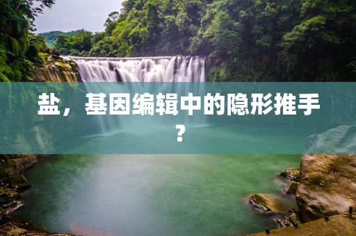盐，基因编辑中的隐形推手？