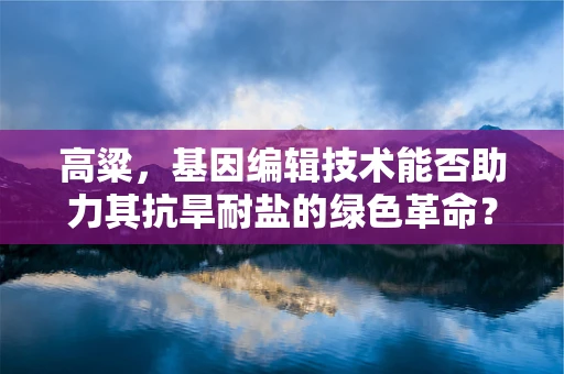 高粱，基因编辑技术能否助力其抗旱耐盐的绿色革命？