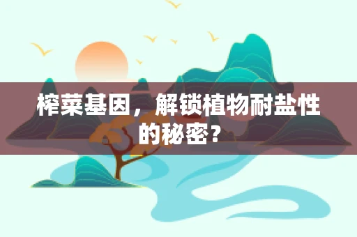 榨菜基因，解锁植物耐盐性的秘密？