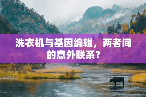 洗衣机与基因编辑，两者间的意外联系？