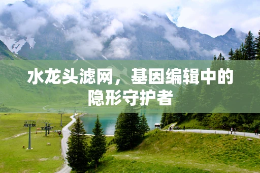 水龙头滤网，基因编辑中的隐形守护者
