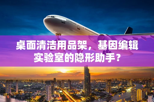 桌面清洁用品架，基因编辑实验室的隐形助手？