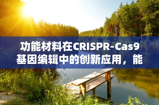 功能材料在CRISPR-Cas9基因编辑中的创新应用，能否提升编辑效率与安全性？