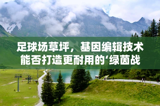 足球场草坪，基因编辑技术能否打造更耐用的‘绿茵战场’？