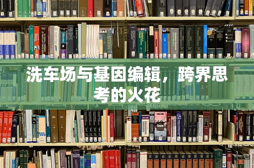 洗车场与基因编辑，跨界思考的火花
